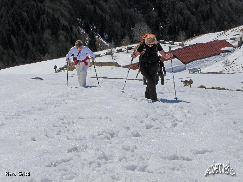 26 ...saliamo verso il Monte Vaccaro.jpg